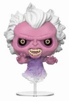 748 Scary Library Ghost Ghostbusters Funko pop
