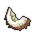 Coconotnotto