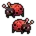 Ladybug