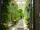 Longwood Gardens Pennsylvania 32.jpg