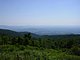 Photo Blueridge Mountains Virginia Smokey Smokies 22.jpg