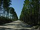 Princess Place Preserve Flagler County Palm Coast Florida 10.jpg
