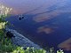Princess Place Preserve Flagler County Palm Coast Florida 100.jpg