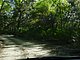 Princess Place Preserve Flagler County Palm Coast Florida 102.jpg