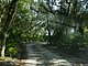 Princess Place Preserve Flagler County Palm Coast Florida 103.jpg
