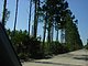 Princess Place Preserve Flagler County Palm Coast Florida 11.jpg