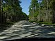 Princess Place Preserve Flagler County Palm Coast Florida 15.jpg