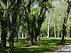 Princess Place Preserve Flagler County Palm Coast Florida 21.jpg