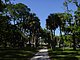 Princess Place Preserve Flagler County Palm Coast Florida 23.jpg