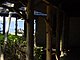 Princess Place Preserve Flagler County Palm Coast Florida 25.jpg