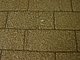 Princess Place Preserve Flagler County Palm Coast Florida 28.jpg
