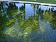 Princess Place Preserve Flagler County Palm Coast Florida 40.jpg
