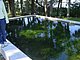 Princess Place Preserve Flagler County Palm Coast Florida 41.jpg