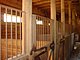 Princess Place Preserve Flagler County Palm Coast Florida 49.jpg
