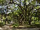 Princess Place Preserve Flagler County Palm Coast Florida 51.jpg