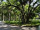 Princess Place Preserve Flagler County Palm Coast Florida 53.jpg