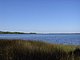 Princess Place Preserve Flagler County Palm Coast Florida 58.jpg