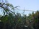Princess Place Preserve Flagler County Palm Coast Florida 6.jpg
