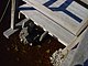 Princess Place Preserve Flagler County Palm Coast Florida 60.jpg