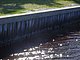 Princess Place Preserve Flagler County Palm Coast Florida 64.jpg