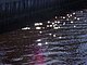 Princess Place Preserve Flagler County Palm Coast Florida 66.jpg
