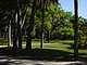 Princess Place Preserve Flagler County Palm Coast Florida 69.jpg