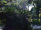 Princess Place Preserve Flagler County Palm Coast Florida 71.jpg