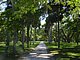 Princess Place Preserve Flagler County Palm Coast Florida 72.jpg