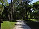 Princess Place Preserve Flagler County Palm Coast Florida 73.jpg