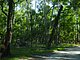 Princess Place Preserve Flagler County Palm Coast Florida 75.jpg