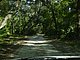 Princess Place Preserve Flagler County Palm Coast Florida 76.jpg