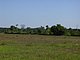 Princess Place Preserve Flagler County Palm Coast Florida 77.jpg