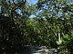 Princess Place Preserve Flagler County Palm Coast Florida 79.jpg