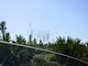 Princess Place Preserve Flagler County Palm Coast Florida 8.jpg