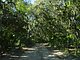 Princess Place Preserve Flagler County Palm Coast Florida 80.jpg