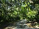 Princess Place Preserve Flagler County Palm Coast Florida 81.jpg