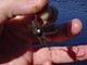 Princess Place Preserve Flagler County Palm Coast Florida 84.jpg