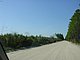 Princess Place Preserve Flagler County Palm Coast Florida 9.jpg