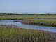 Princess Place Preserve Flagler County Palm Coast Florida 91.jpg