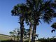 Princess Place Preserve Flagler County Palm Coast Florida 93.jpg