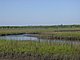 Princess Place Preserve Flagler County Palm Coast Florida 94.jpg