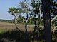 Princess Place Preserve Flagler County Palm Coast Florida 96.jpg