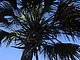 Princess Place Preserve Flagler County Palm Coast Florida 97.jpg