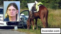 Florida woman charged with DUI on horse