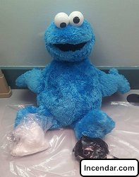 Cookie Monster Was Stuffed With Cocaine Key West man 39 jailed on pair of felonies