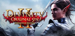 Divinity: Original Sin 2 logo