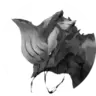 DANILY Warframe Promo Code
